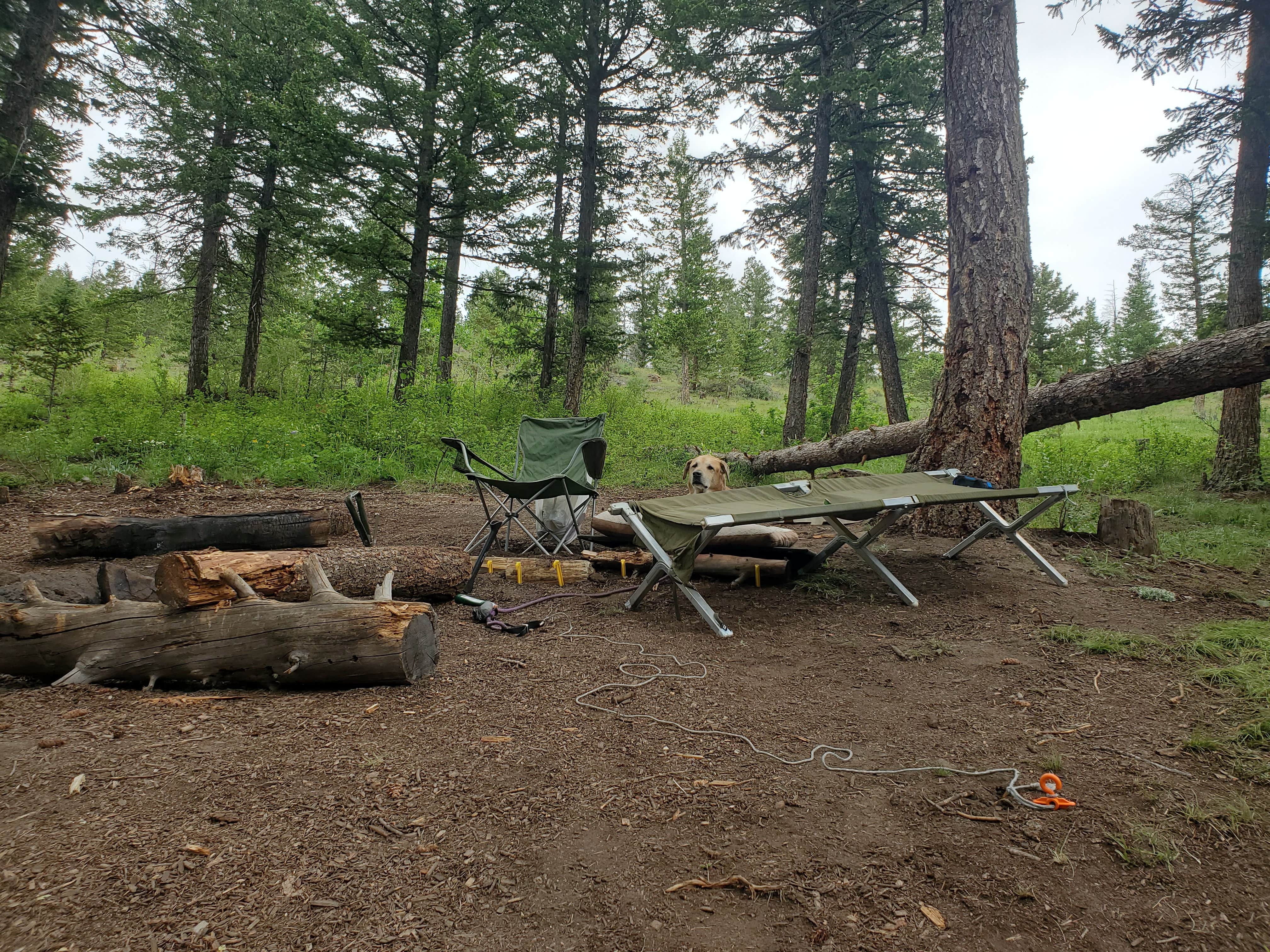 Camping near St. Louis Creek Campground: Cr 47, Winter Park, Colorado