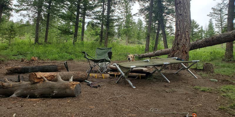 Camper submitted image from Cr 47