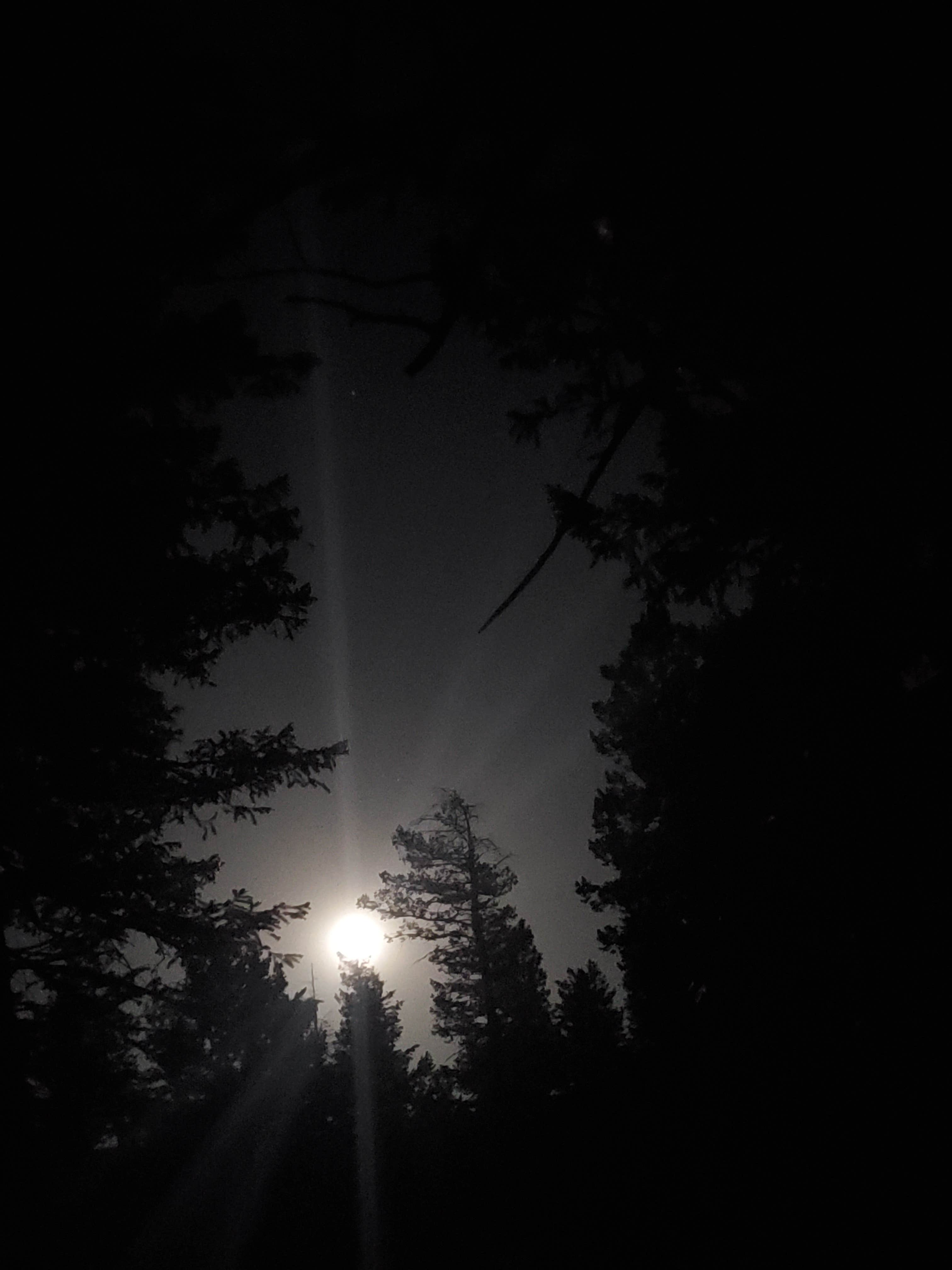 Camper-submitted photo at Cr 47 near Winter Park, CO