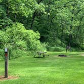 Review photo of Mississippi Palisades State Park Campground by Scott M., June 7, 2020