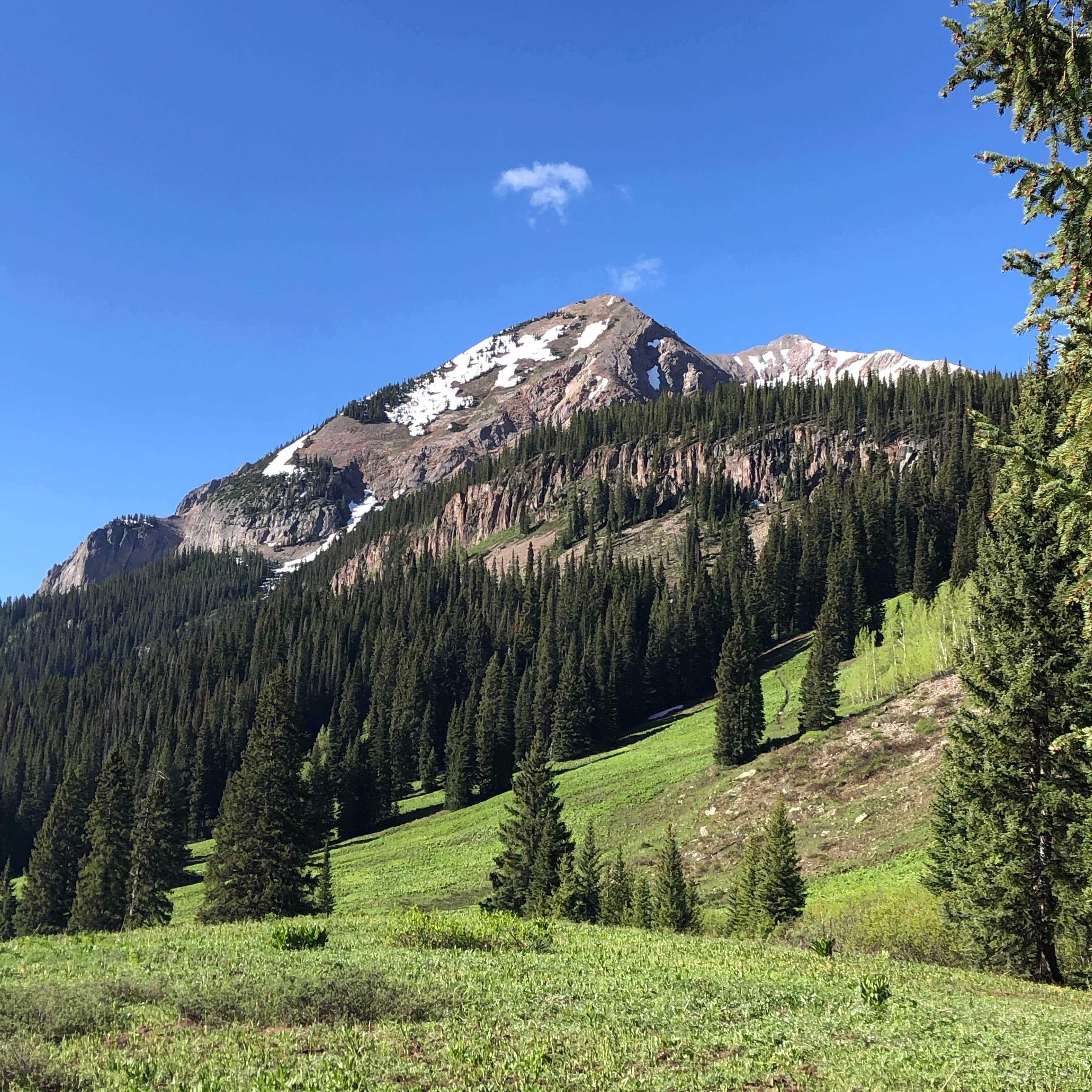 Camper submitted image from Gothic Canyon dispersed camping 1 - 2