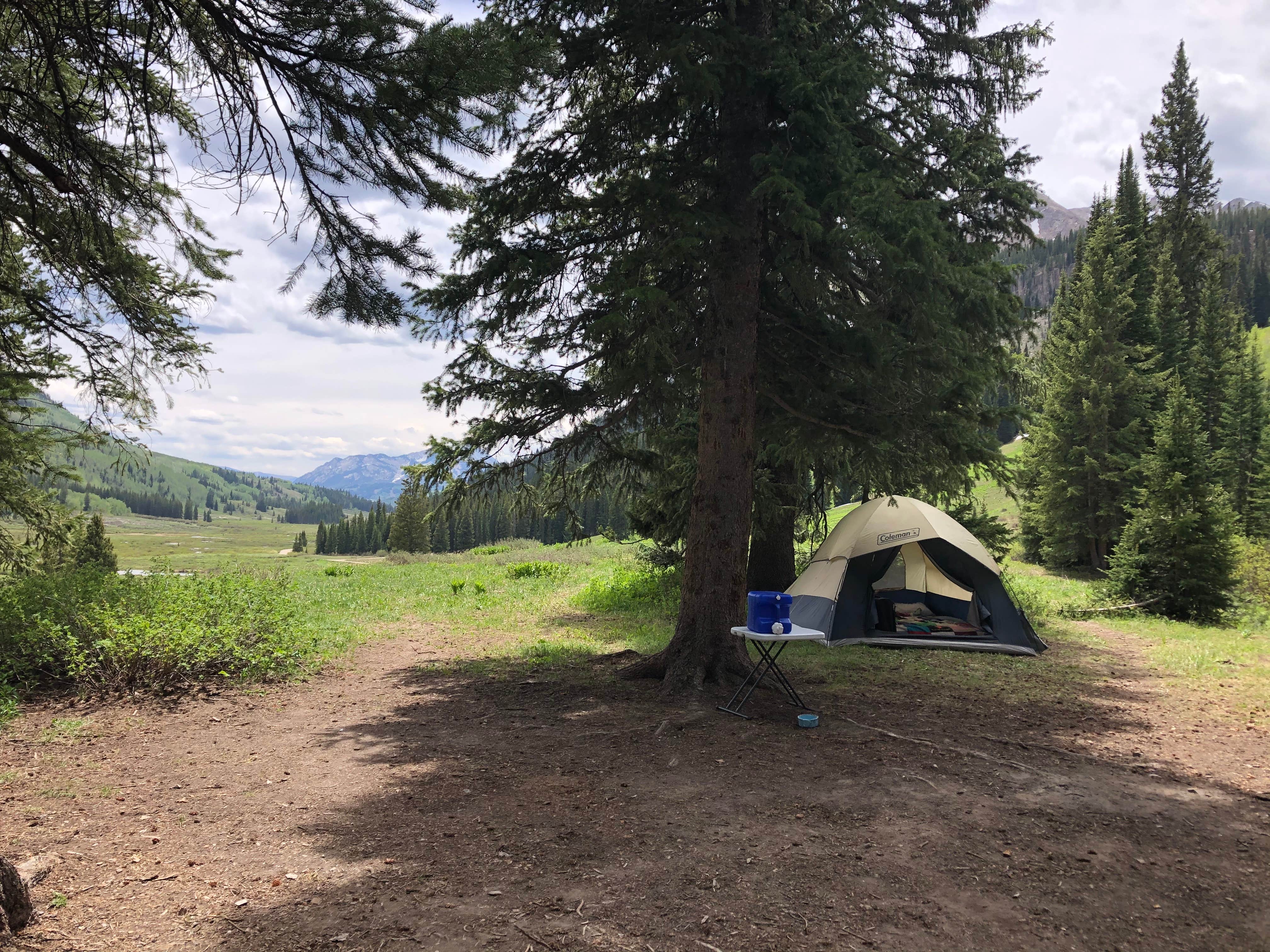Courtney L.'s photo of a dispersed camping area at Gothic Canyon dispersed camping 1 - PERMANENTLY CLOSED near Snowmass Village, CO