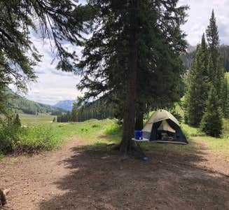 Camper-submitted photo from Gothic Canyon dispersed camping 1
