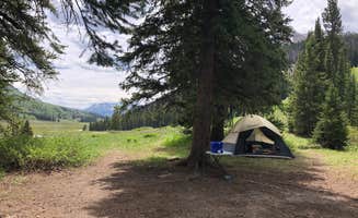 Courtney L.'s photo of a dispersed camping area at Gothic Canyon dispersed camping 1 - PERMANENTLY CLOSED near Gunnison National Forest