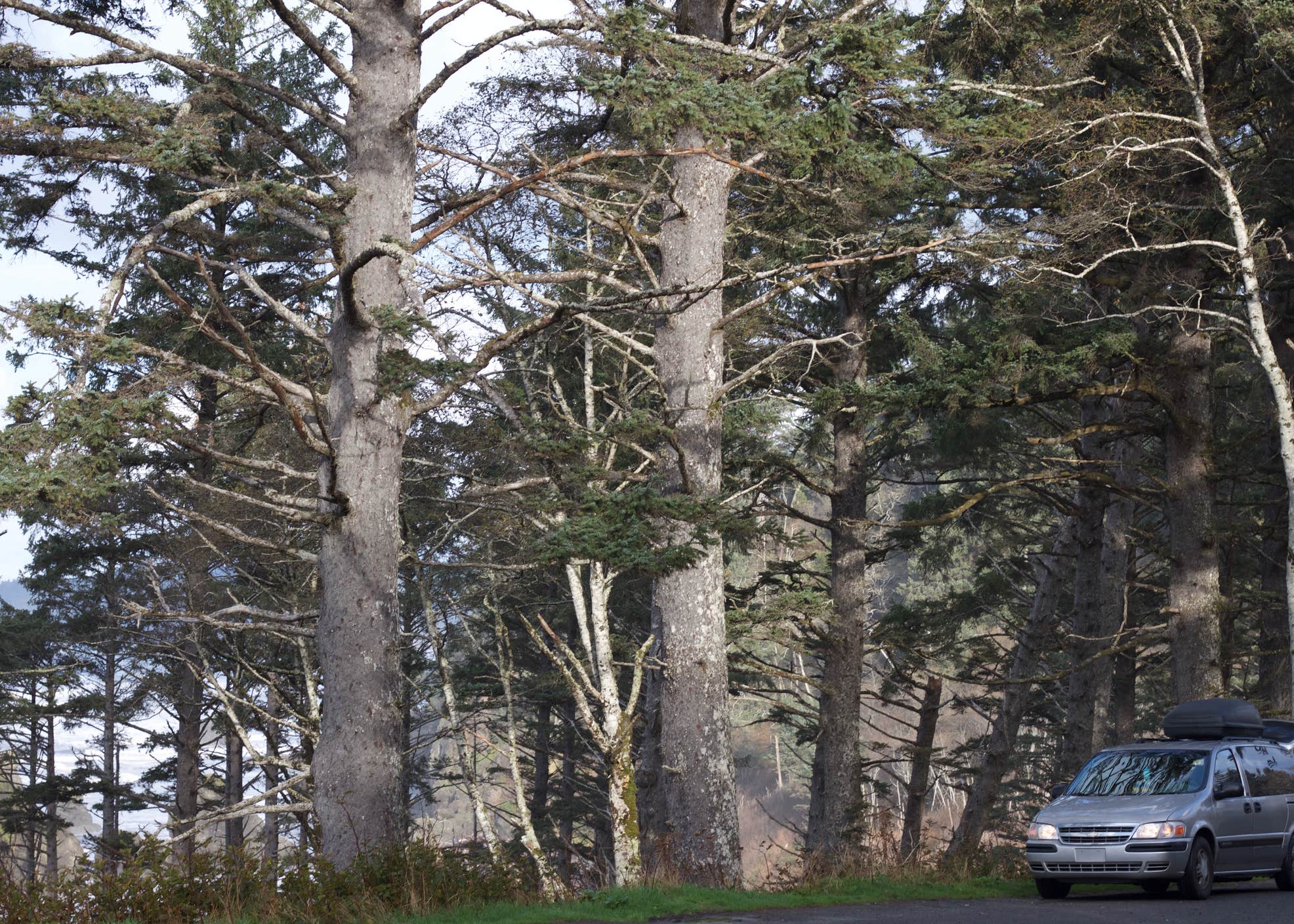 Strawberry Point Camping Camping The Dyrt