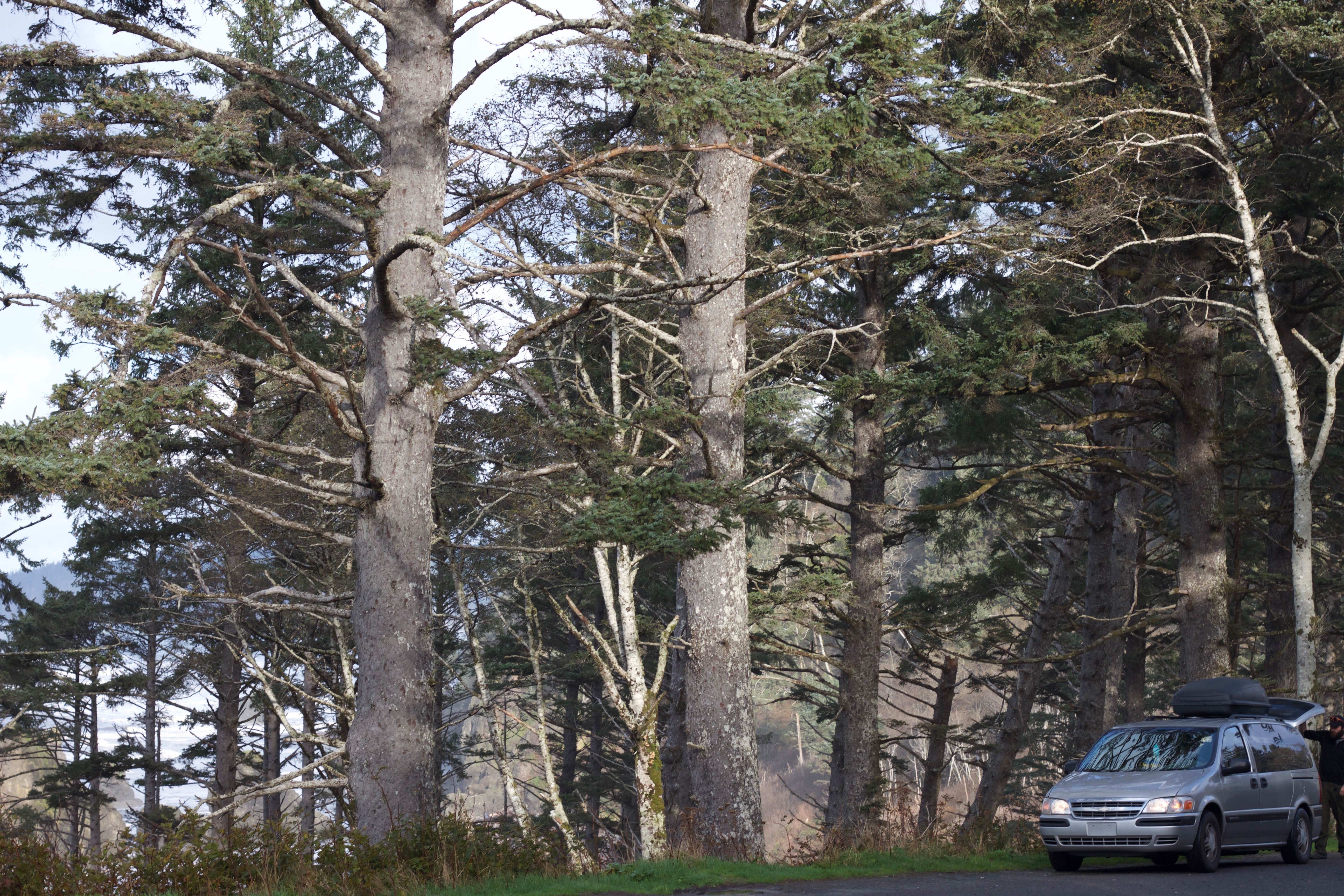 Camper submitted image from Strawberry Point Camping — Olympic National Park - 1