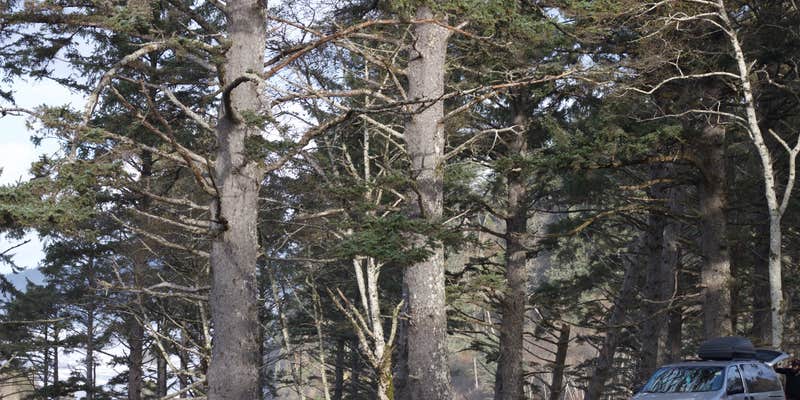 Camper submitted image from Strawberry Point Camping — Olympic National Park