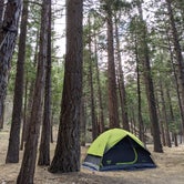 Review photo of South Fork Family Campground by Bryan H., June 7, 2020