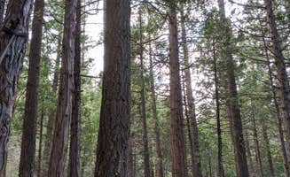 Bryan H.'s photo at South Fork Family Campground near Forest Falls, CA