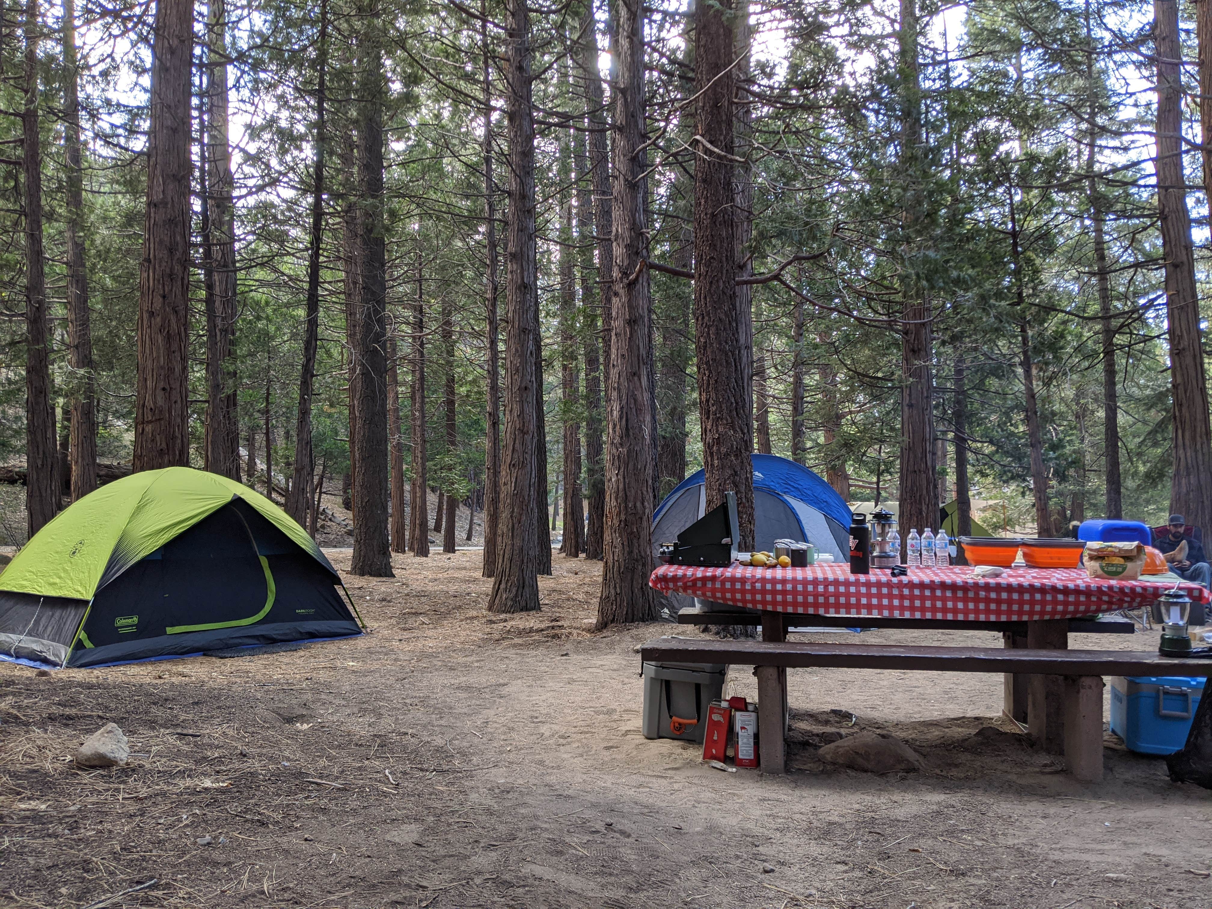 Camper submitted image from South Fork Family Campground - 5