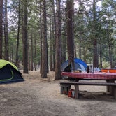 Review photo of South Fork Family Campground by Bryan H., June 7, 2020
