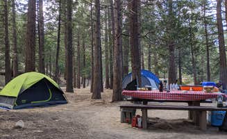 Bryan H.'s photo at South Fork Family Campground near Forest Falls, CA