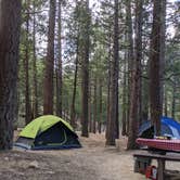 Review photo of South Fork Family Campground by Bryan H., June 7, 2020