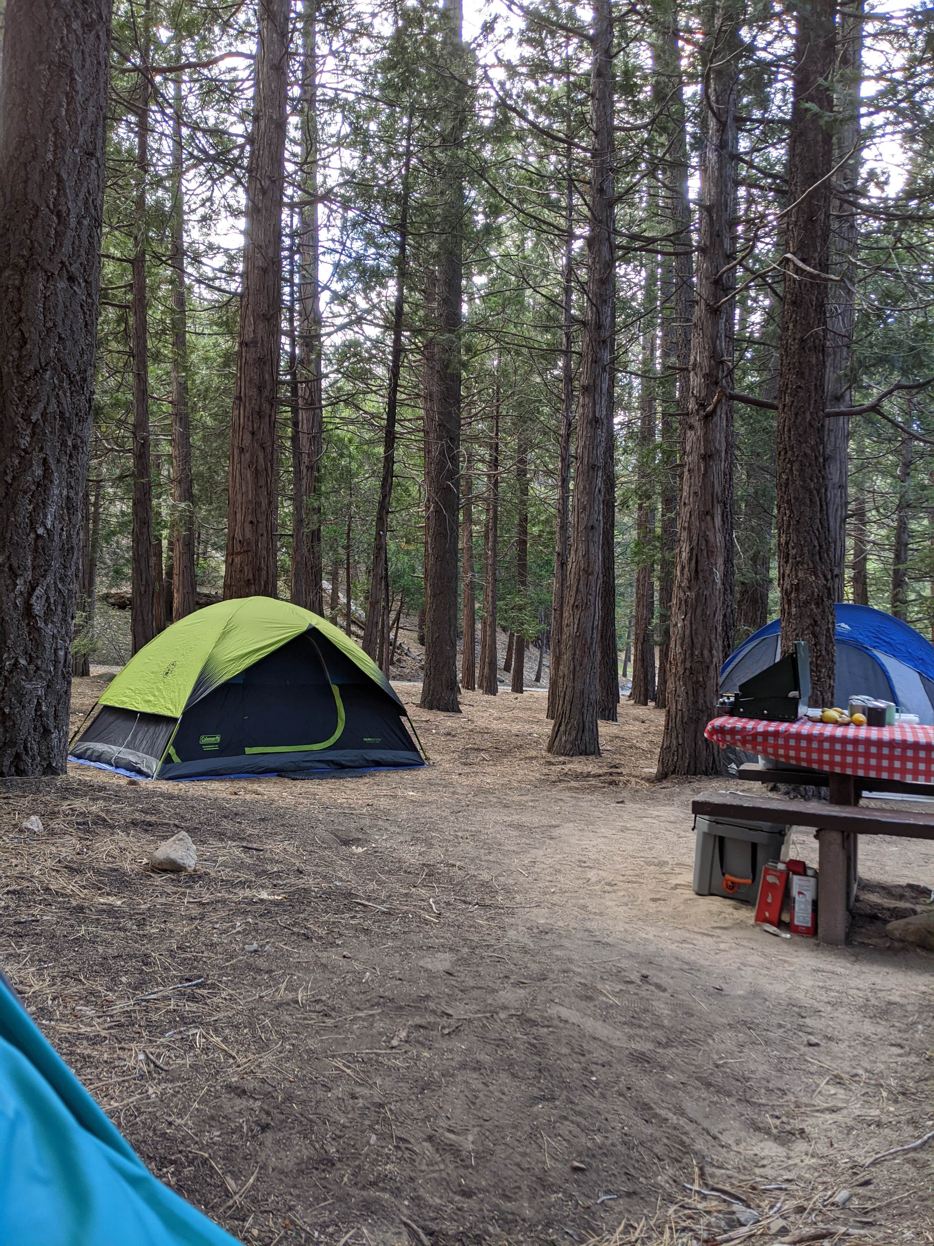 Camper submitted image from South Fork Family Campground - 2