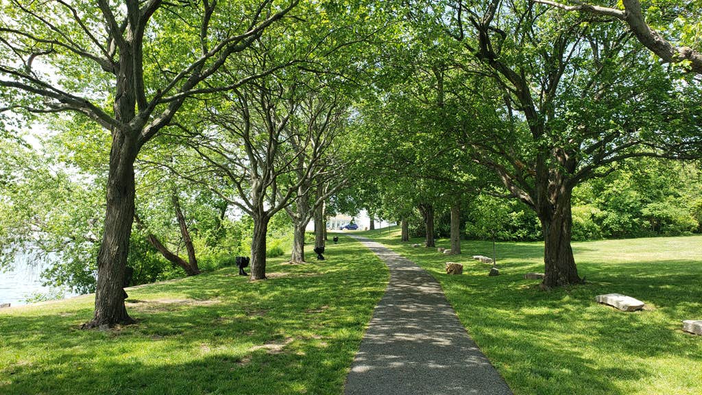 Camper submitted image from Winter Island Park - 3