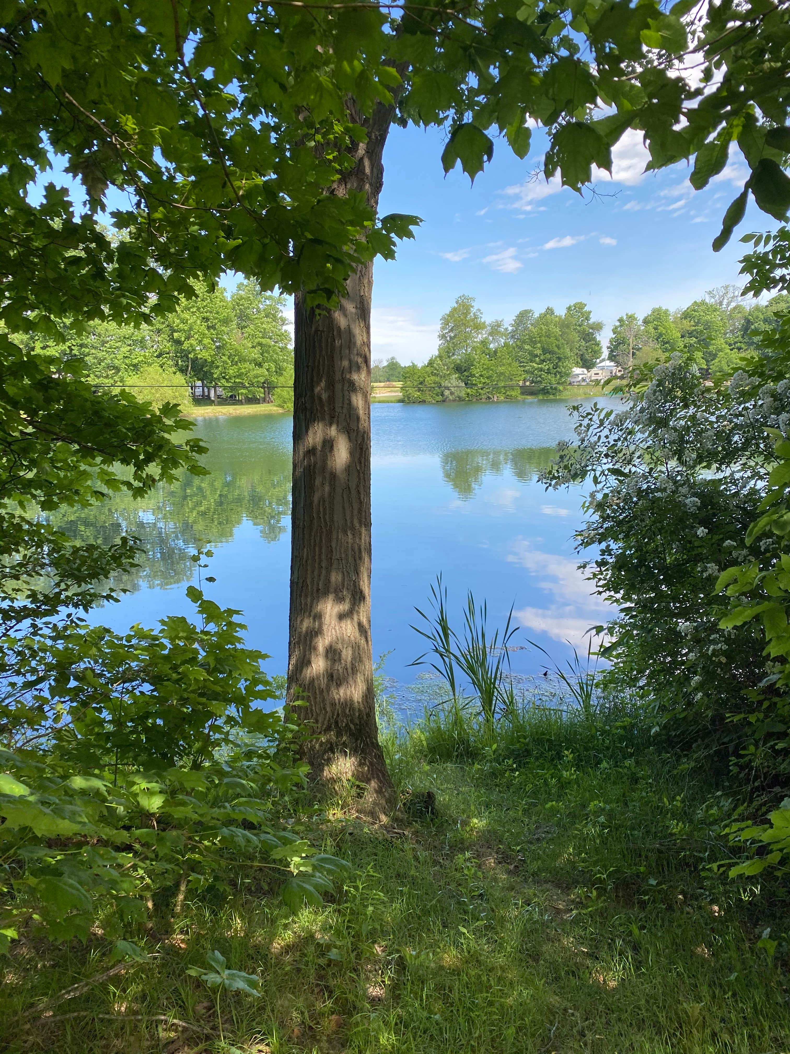 Camper-submitted photo at Camp Timber Lake near Columbia City, IN