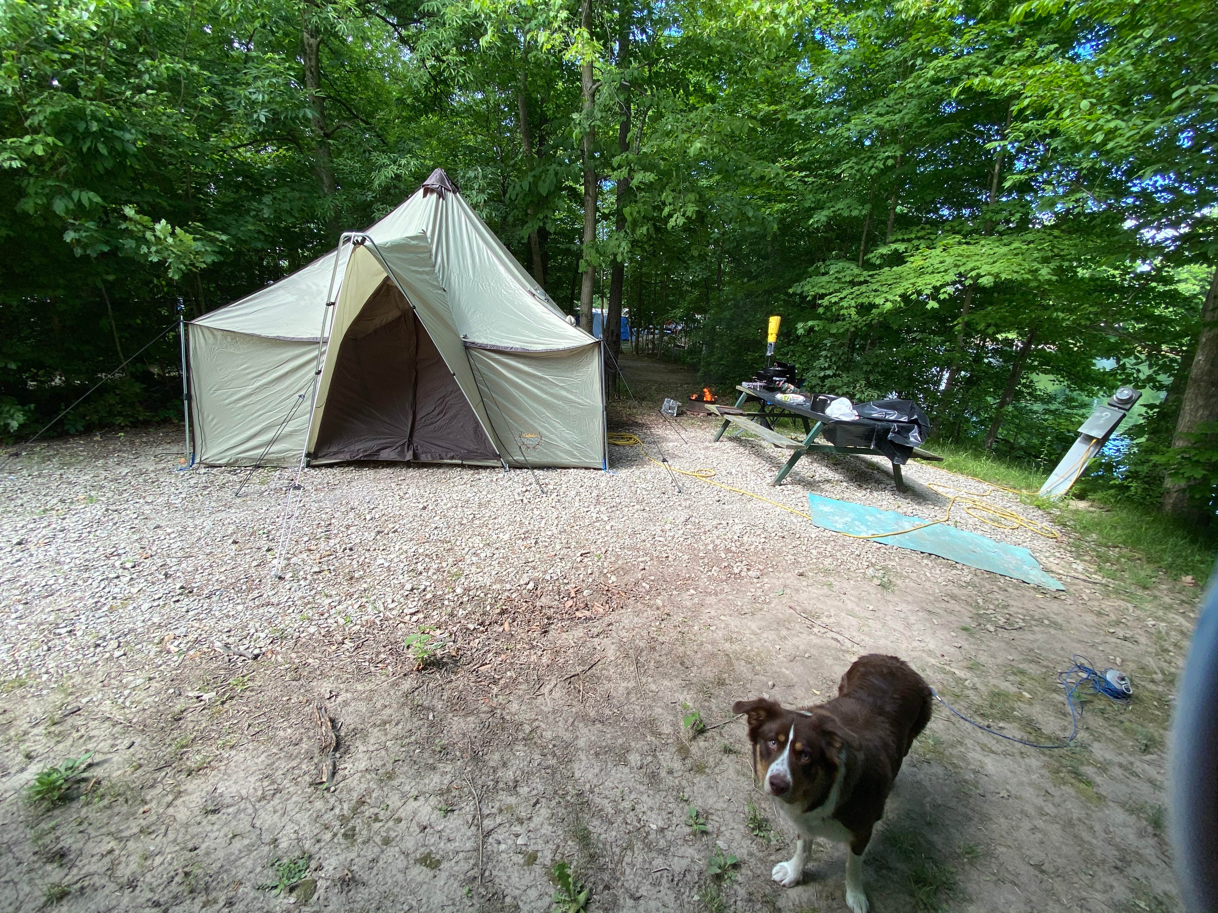 Ashley J.'s photo of camping with pets at Camp Timber Lake near Marion, IN