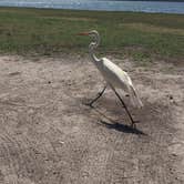 Review photo of Fort De Soto Campground by Daniel S., October 14, 2017