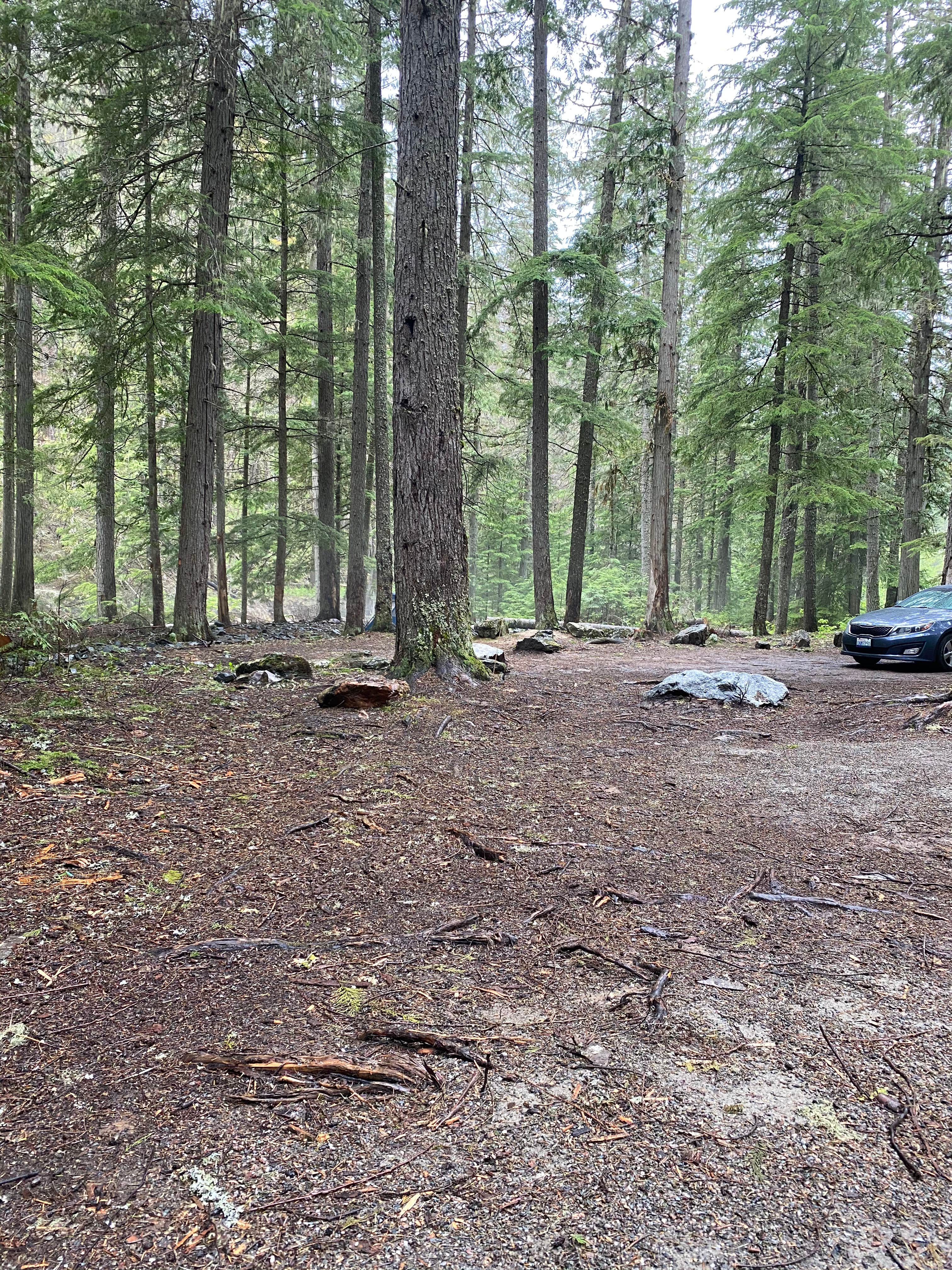 Sullivan creek campground#2