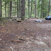 Review photo of Sullivan creek campground#2 by Cassie D., June 8, 2020