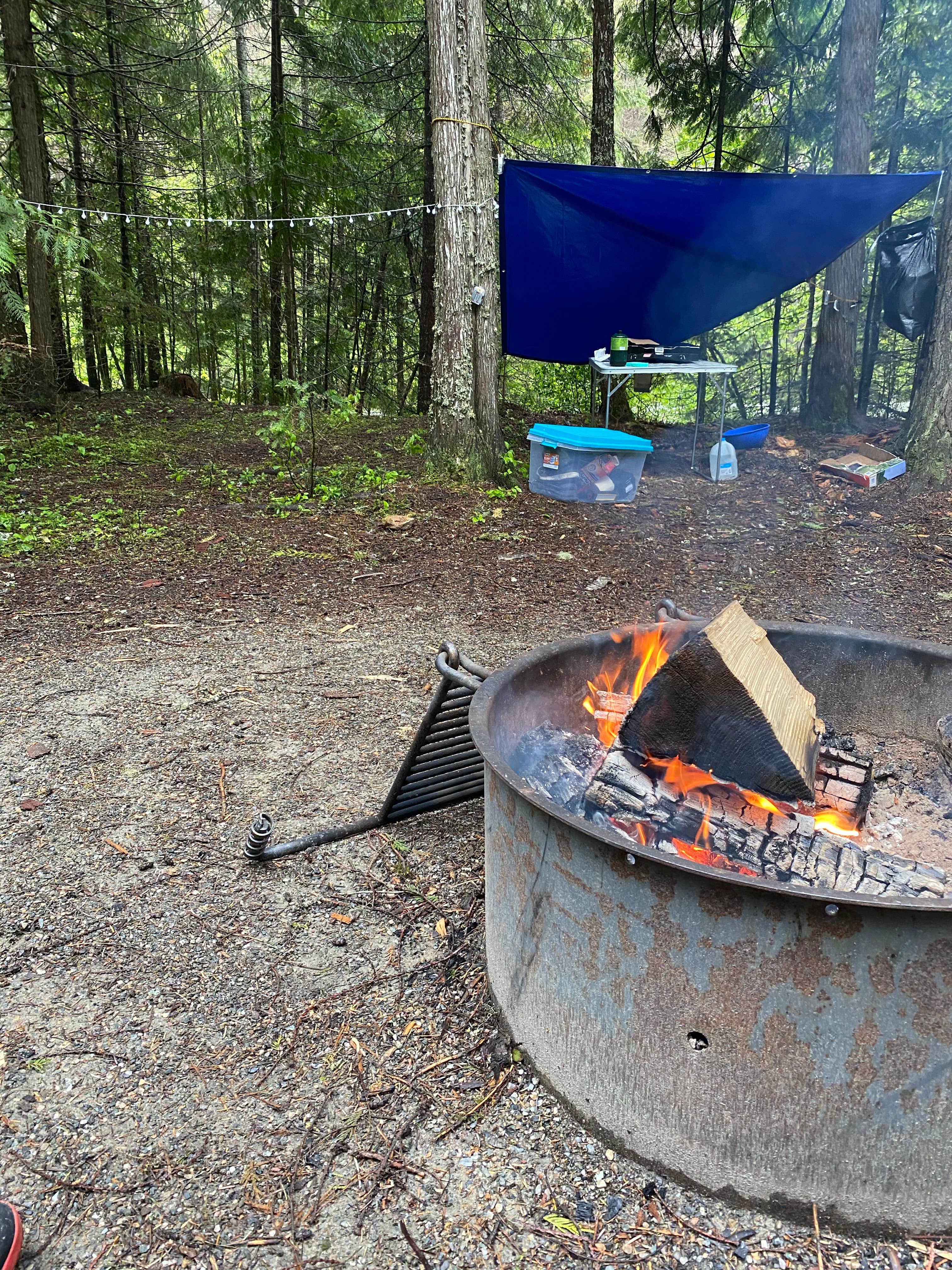 Camper-submitted photo at Sullivan creek campground#2 near Ione, WA