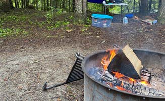 Cassie D.'s photo of a dispersed camping area at Sullivan creek campground#2 near Kootenai, ID