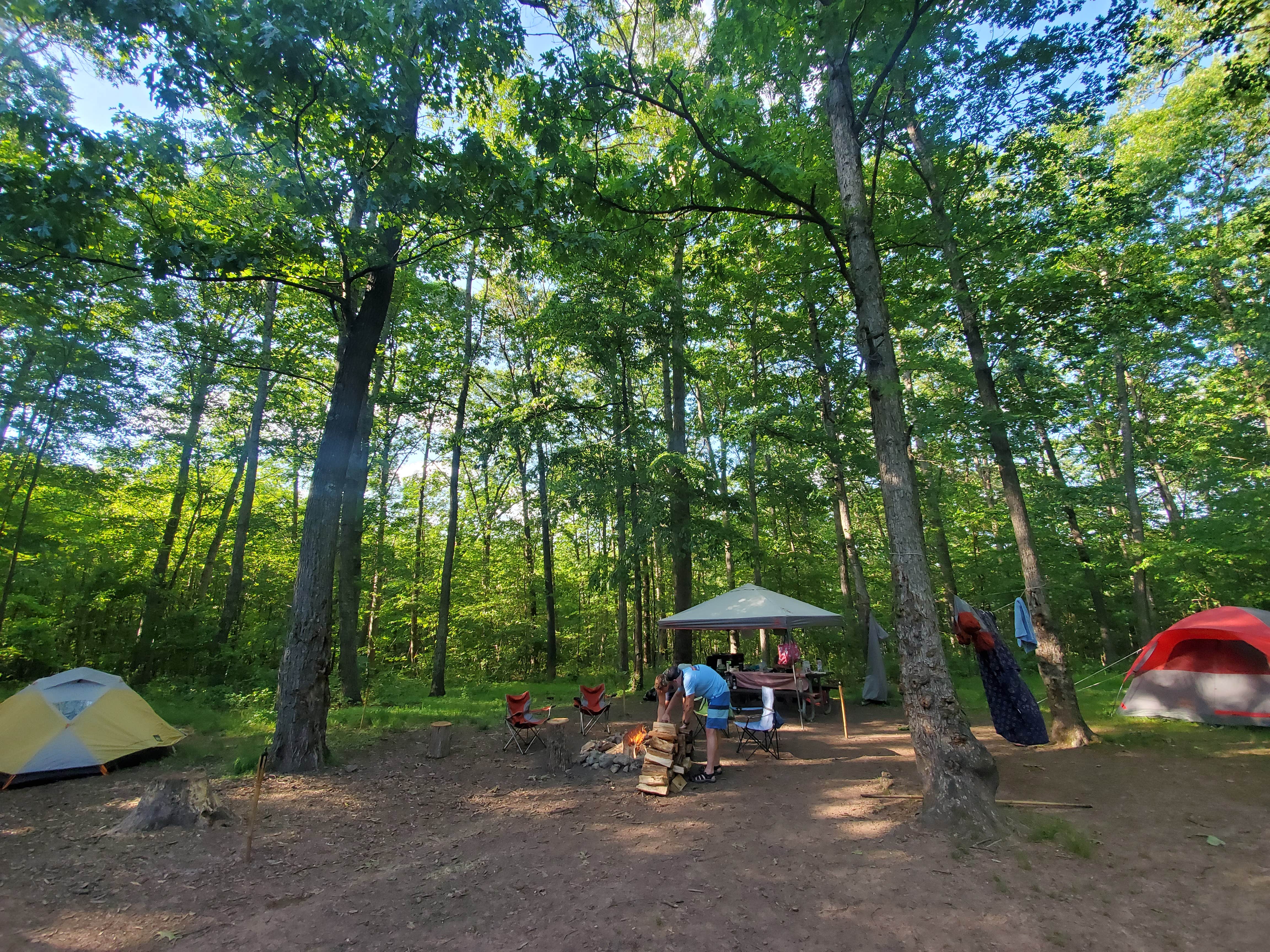 Green Ridge State Forest Camping Flintstone MD The Dyrt