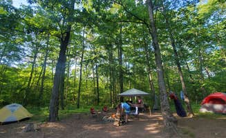 Nancy N.'s photo at Green Ridge State Forest in Maryland