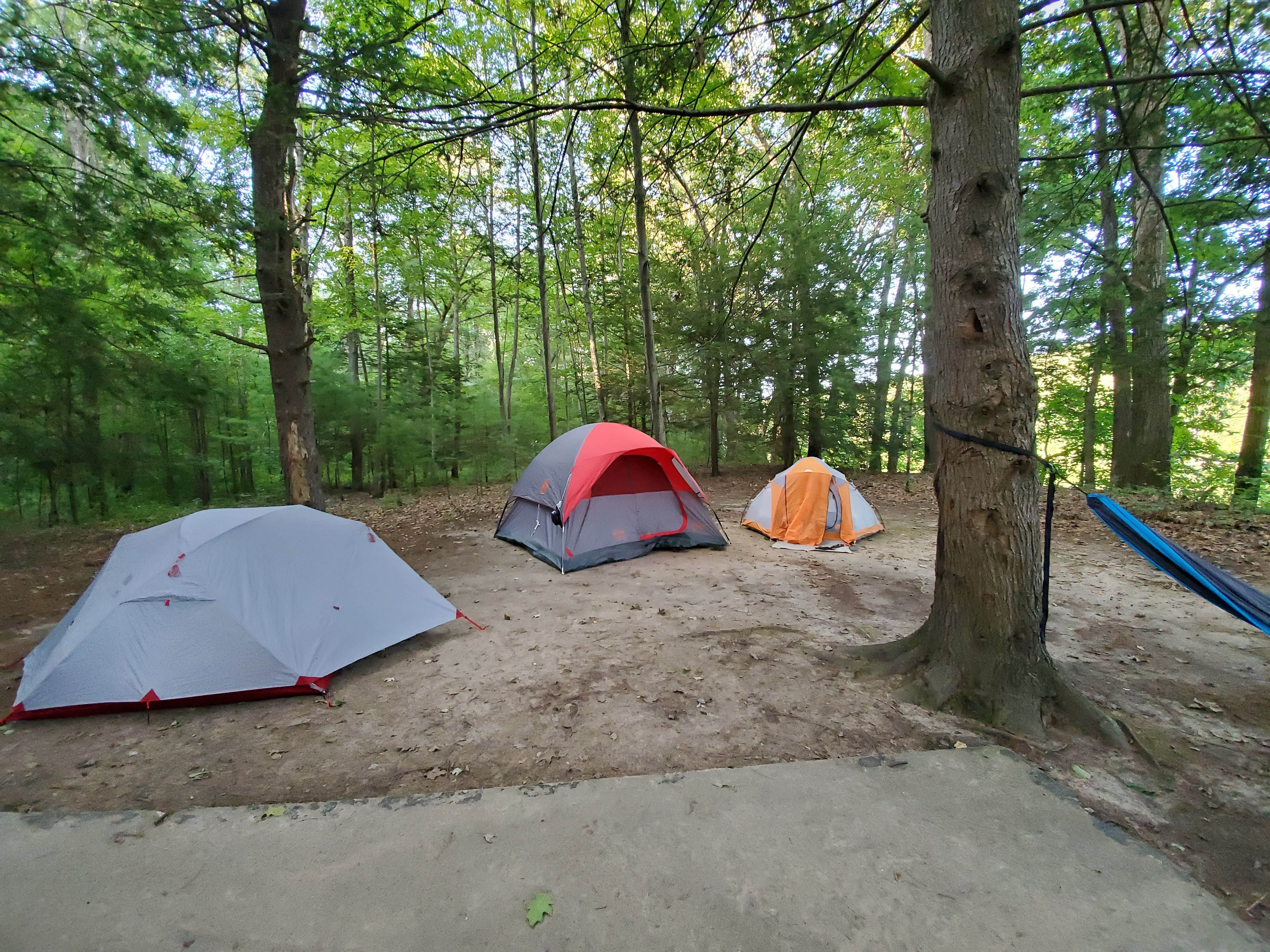 Camper submitted image from Dingmans Campground - Delaware Water Gap NRA - 5