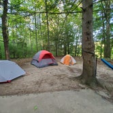 Review photo of Dingmans Campground - Delaware Water Gap NRA by Nancy N., June 8, 2020