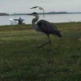 Review photo of Fort De Soto Campground by Daniel S., October 14, 2017