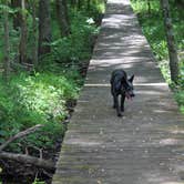 Review photo of Jackson Washington State Forest by Ron H., June 1, 2020