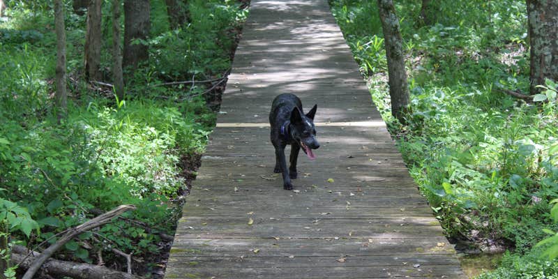 Camper submitted image from Jackson Washington State Forest
