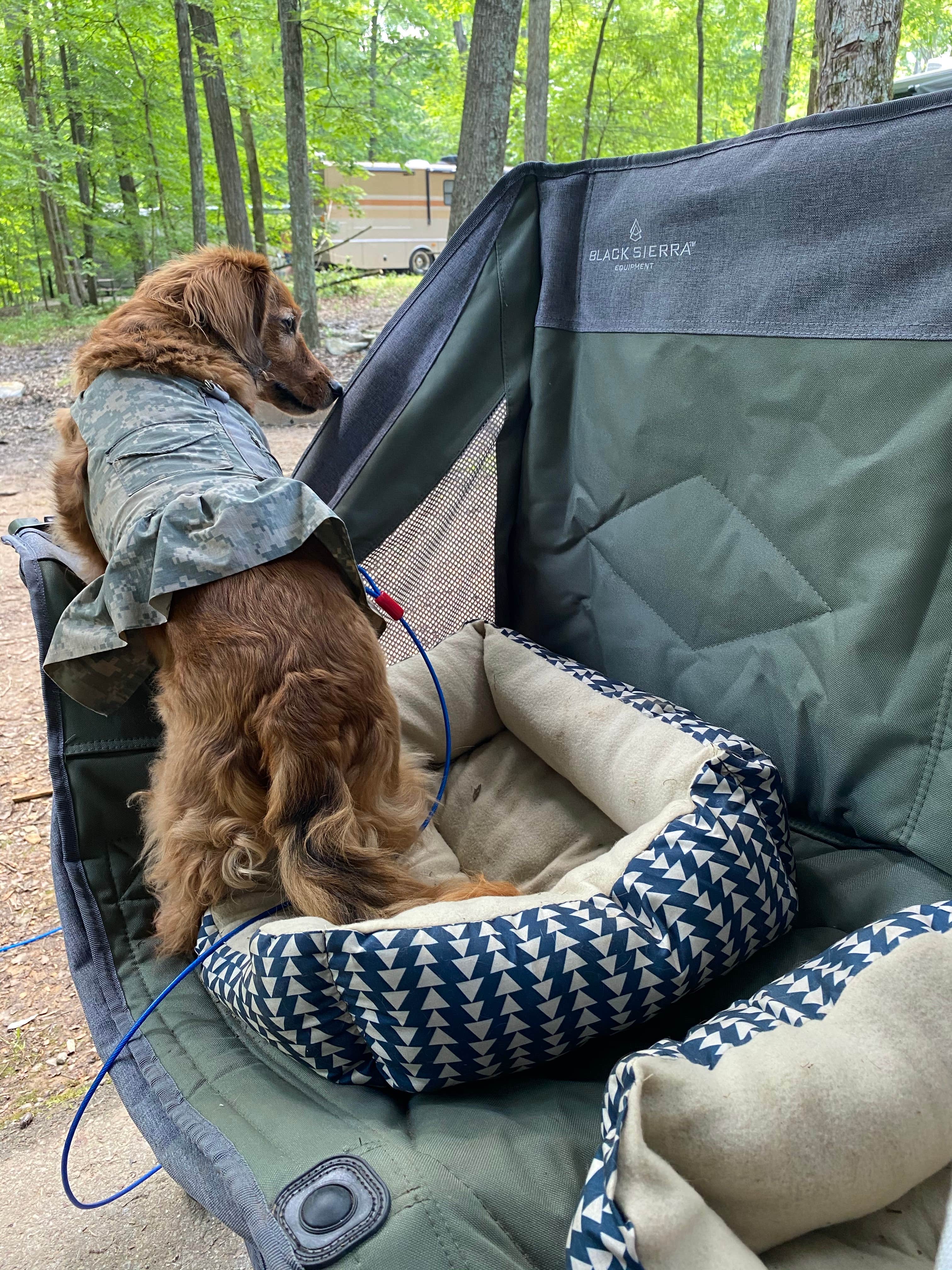 Karen M.'s photo of camping with pets at Henry Horton State Park Campground near Murfreesboro, TN
