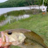 Review photo of Greenbrier State Park Campground - TEMPORARILY CLOSED by Laure D., June 8, 2020