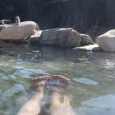 Review photo of Hot Springs by April S., June 8, 2020