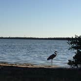 Review photo of Fort De Soto Campground by Daniel S., October 14, 2017