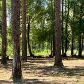 Review photo of Paradise Ranch RV Resort by Jessica B., June 8, 2020