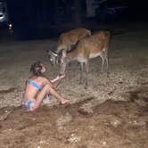 Review photo of Paradise Ranch RV Resort by Jessica B., June 8, 2020