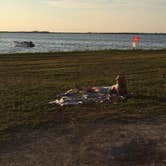 Review photo of Fort De Soto Campground by Daniel S., October 14, 2017