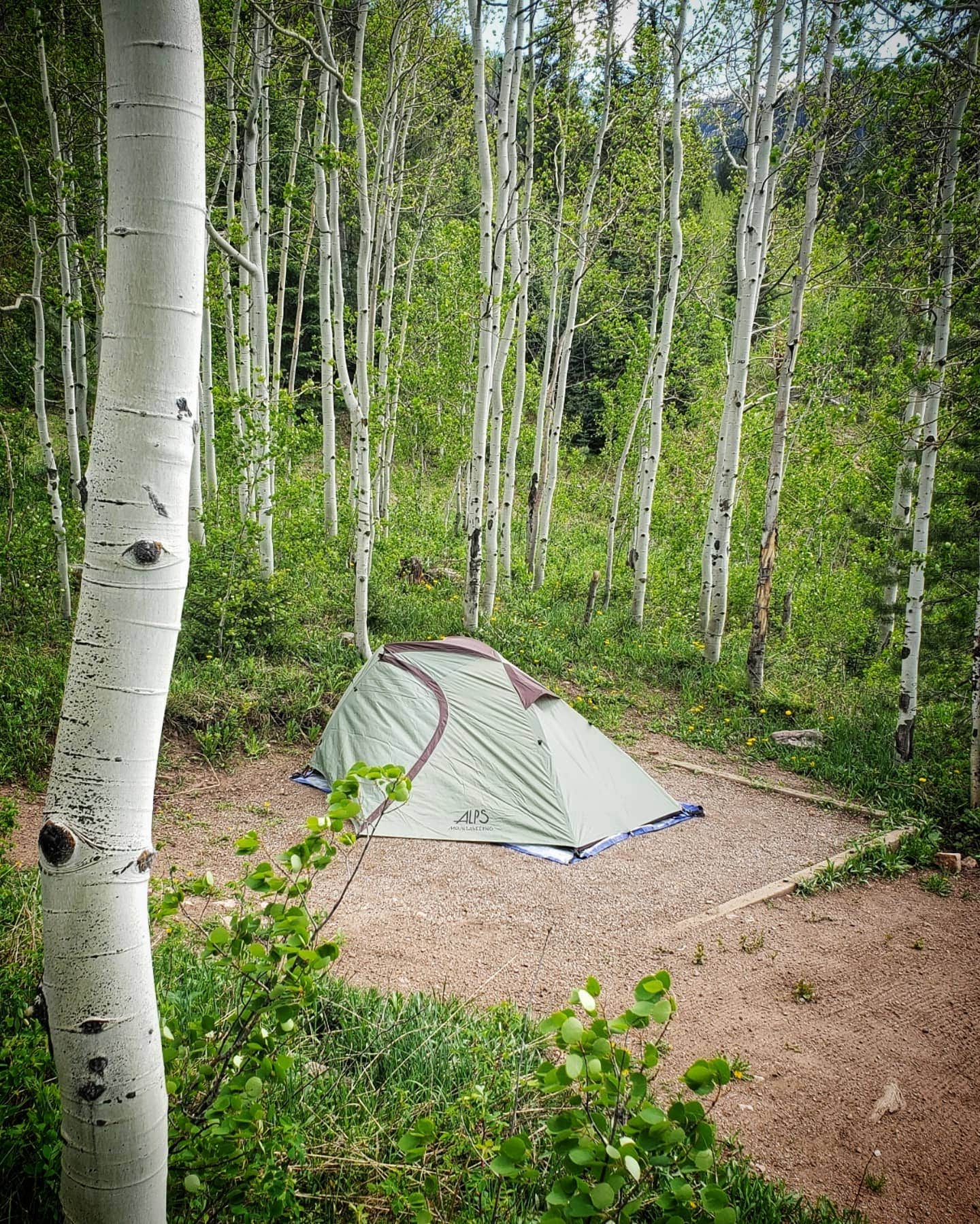 Lyle R.'s photo at Gore Creek Campground near Vail, CO