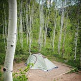 Review photo of Gore Creek Campground by Lyle R., June 8, 2020