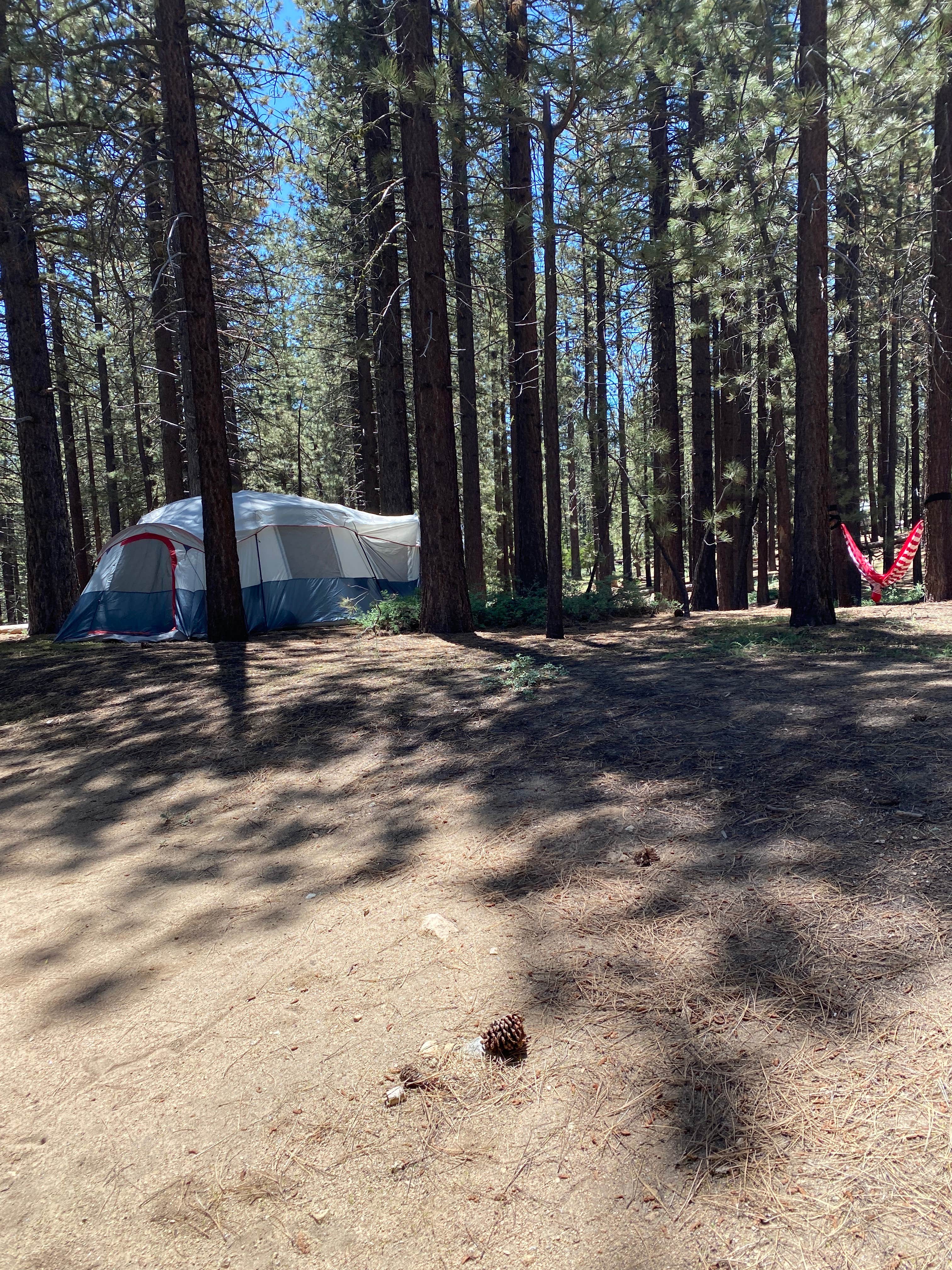 Tammy C.'s photo at Mcgill Campground And Group Campground near Frazier Park, CA