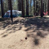 Review photo of Mcgill Campground And Group Campground by Tammy C., June 8, 2020