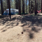 Review photo of Mcgill Campground And Group Campground by Tammy C., June 8, 2020