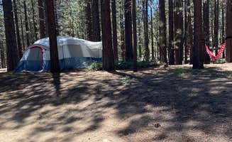 Tammy C.'s photo at Mcgill Campground And Group Campground near Bakersfield, CA