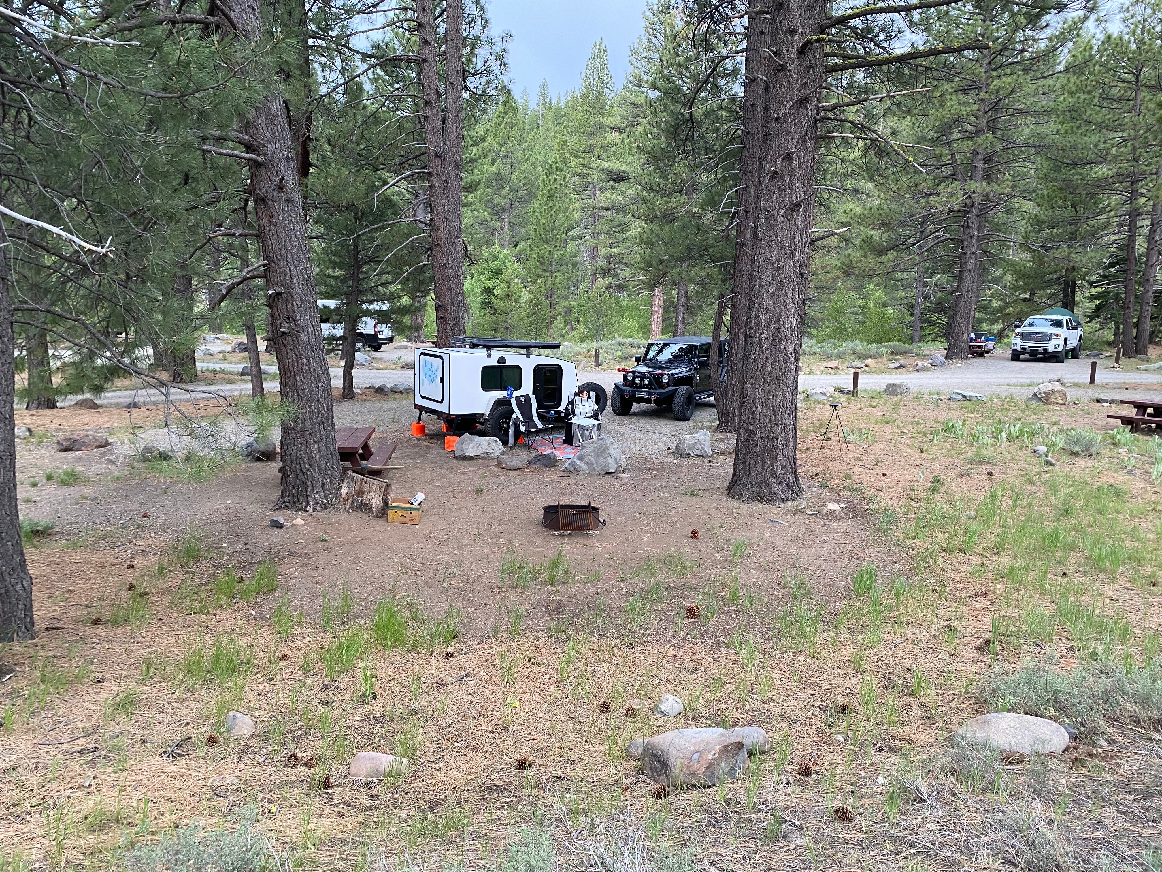 Camper submitted image from Upper Little Truckee - 3