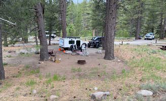 Mike C.'s photo at Upper Little Truckee near Chilcoot, CA