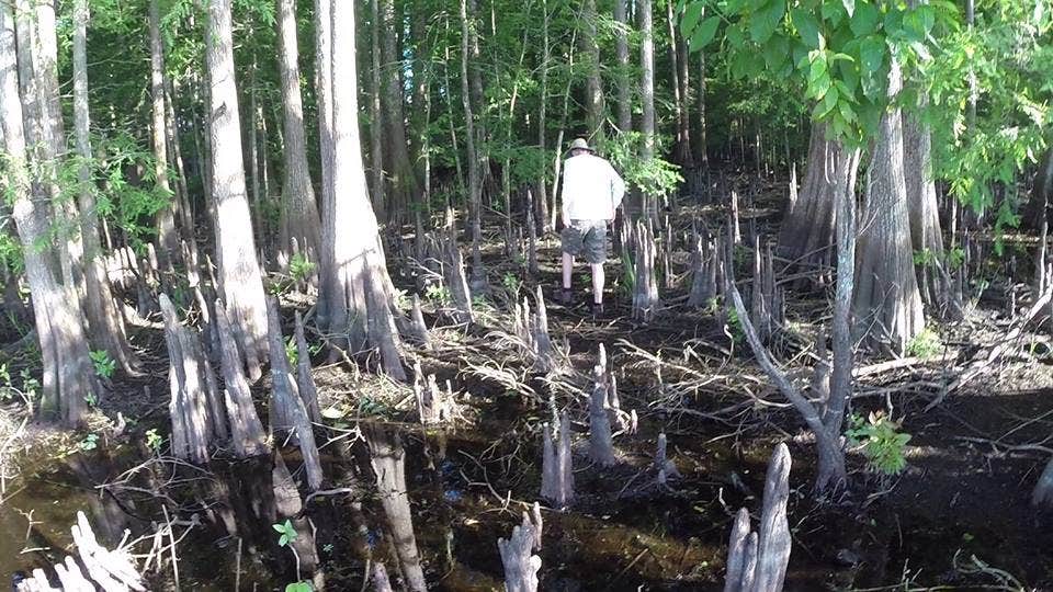 Camper-submitted photo at Indian Prairie Canal RA near LaBelle, FL