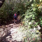 Review photo of Andy Guest/Shenandoah River State Park Campground by Kristin Y., July 1, 2016